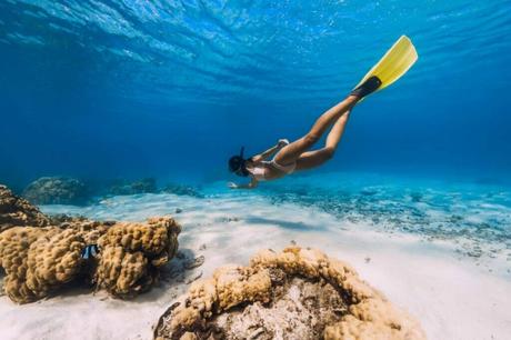 SnorkelingDiving