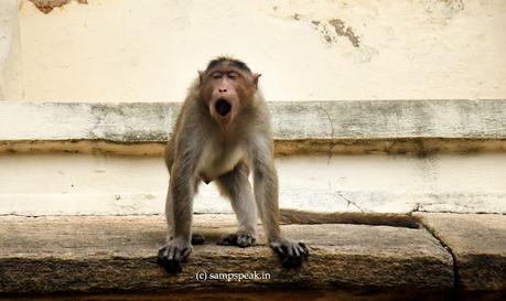 Life lessons - Social media addiction !! Life lessons - Social media addiction !!