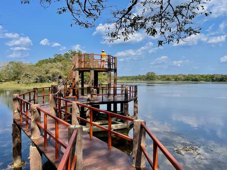 observation-tower-next-to-reservoir-in-wilpattu-np