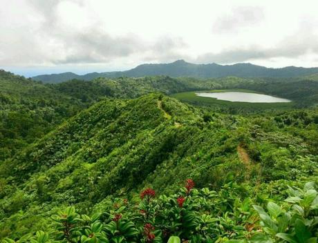 Grand Etang National Park