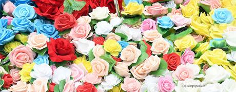 மலர்களே,  மலர்களே !!    Beautiful Roses !!