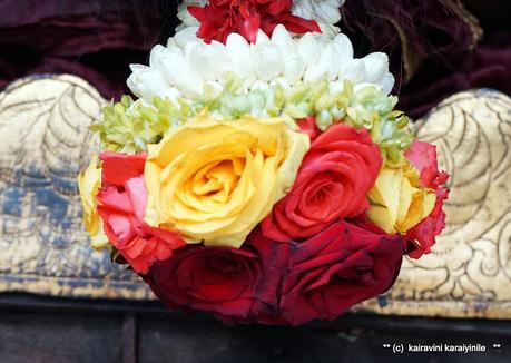 மலர்களே,  மலர்களே !!    Beautiful Roses !!