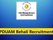 PDUAM Behali Recruitment 2023 Assistant Professor Posts