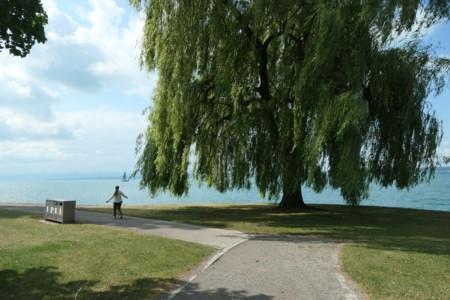 Visiting Friends at the Lake Constance Area