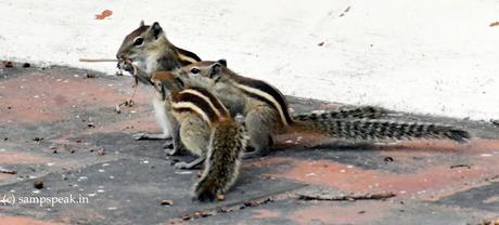 Amigos ! - 3 people looking alike !! Amigos ! - 3 people looking alike !!