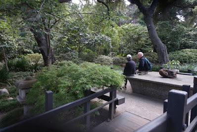 DESCANSO GARDENS, La Canada Flintridge, CA: Something in Bloom at Every Time of Year