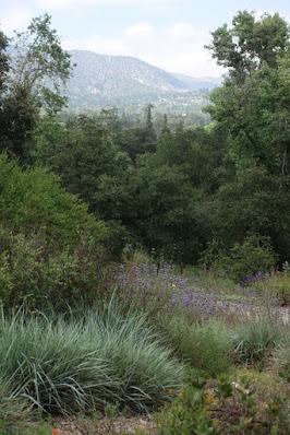 DESCANSO GARDENS, La Canada Flintridge, CA: Something in Bloom at Every Time of Year