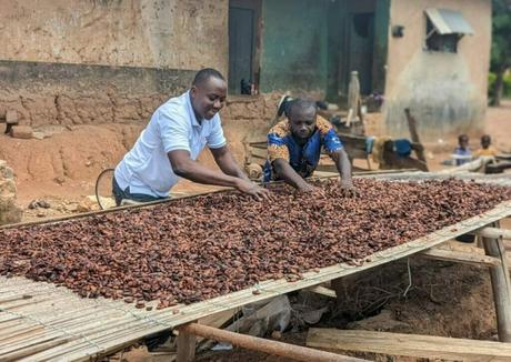 Bean-to-bar Production