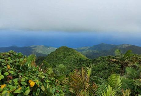 Mount Saint Catherine