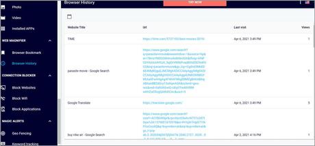 Eyezy Browser details