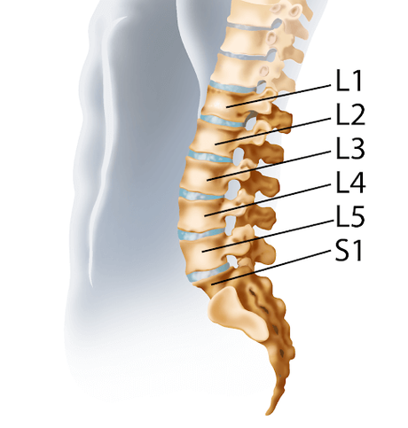 L5 S1 Or Lumbosacral Joint: What Is It And What Should You Be Wary Of?