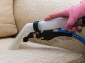 Choosing Best Upholstery Cleaning Company: Factors Consider
