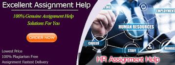 Witness Immediate Success with HR Assignment Help Highly Experienced Writers