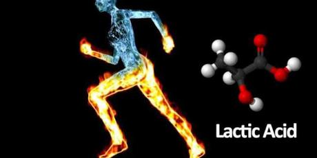 Lactic Acid Market