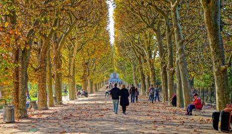 Tips and Suggestions to Make Your Stay in Paris More Enjoyable