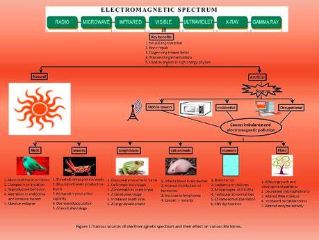 Electromagnetic Radiation