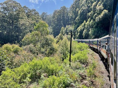 view-from-a-sri-lankan-train-passing-through-lush-green-forests