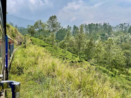 view-from-the-train-from-ella-to-kandy