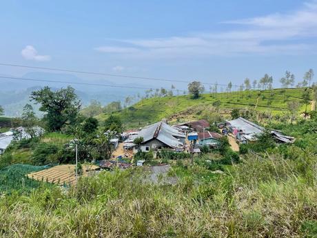 buildings-with-tin-roofs-in-the-sri-lankan-central-highlands