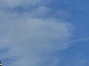 Soaring High: Thrilling Growth Racing Drones Market