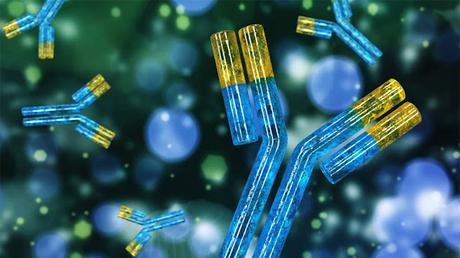 Peptide Therapeutics