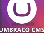 Umbraco CMS: Features Benefits