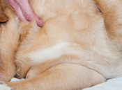 Beyond Medical: Exploring Additional Coverage Insurance