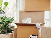 Important Considerations When Moving