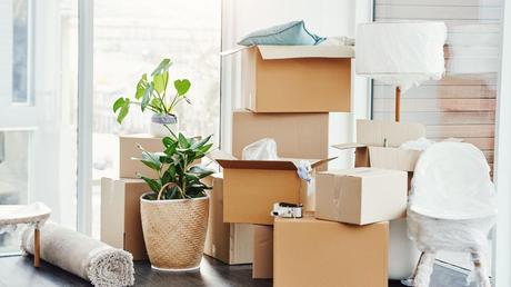 7 Important Considerations When Moving