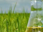 Feeding World Sustainably: Analyzing Growth Agrochemicals Market