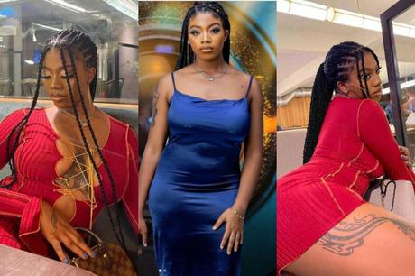 BBNaija All Stars: Why I Don’t Dream of Working – Angel Smith [Video]