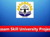 Assam Skill University Project Recruitment Accountant Post