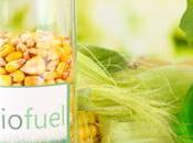 Revolutionizing Energy: Booming Biofuels Market