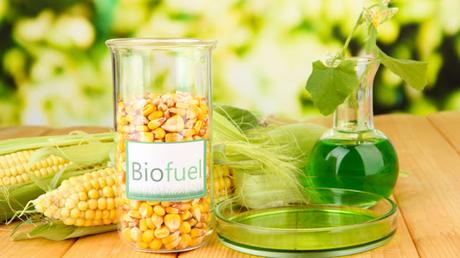 Revolutionizing Energy: The Booming Biofuels Market Revolutionizing Energy: The Booming Biofuels Market