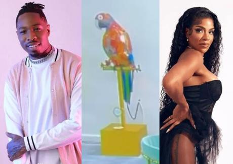 BBN All Stars: Big Brother Parrot Exposes Ike’s Talk About Pimping Venita to Big Boys