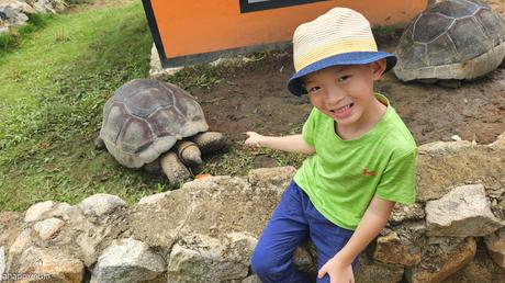 Our mum-and-kids trip to Club Med Bintan