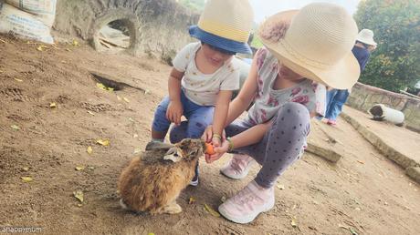 Our mum-and-kids trip to Club Med Bintan