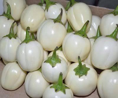 Benefits of Garden Egg for Fertility