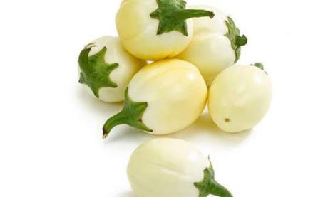 9 Health Benefits of Garden Egg and Side Effects