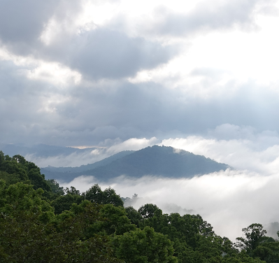Looking East, Looking Up