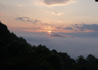 Looking East, Looking Up