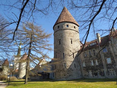 Travel Guide Budget and Itinerary for Tallinn