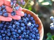 Skin Benefits from Blueberries: Comprehensive Guide