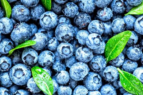 Skin Benefits from Blueberries