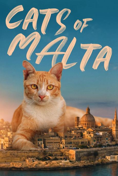 Cats of Malta – Release News