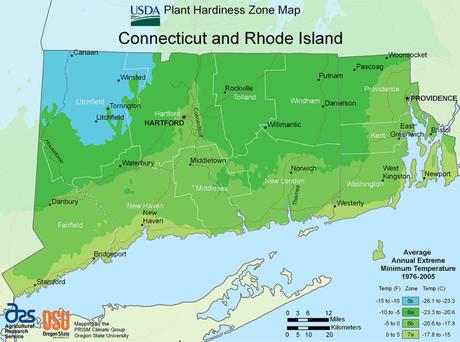Best Grass Seed for Rhode Island: A Comprehensive Guide