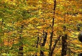 Staying Safe While RVing: A Comprehensive Guide to Checklists and Maintenance Staying Safe While RVing: A Comprehensive Guide to Checklists and Maintenance