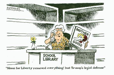 School Library (If Republicans Get Their Way)