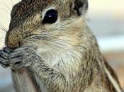 Ācweorna Wonder What எனக்கு இன்னொரு பேர் இருக்கு