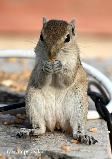 ācweorna – wonder what ?? - ஐயா எனக்கு இன்னொரு பேர் இருக்கு !! ācweorna – wonder what ?? - ஐயா எனக்கு இன்னொரு பேர் இருக்கு !!